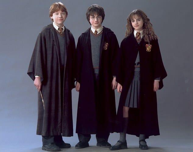 Harry Potter Gryffindor Robe Adult L Size ( No Exchange No Refund Allowed On This Product)