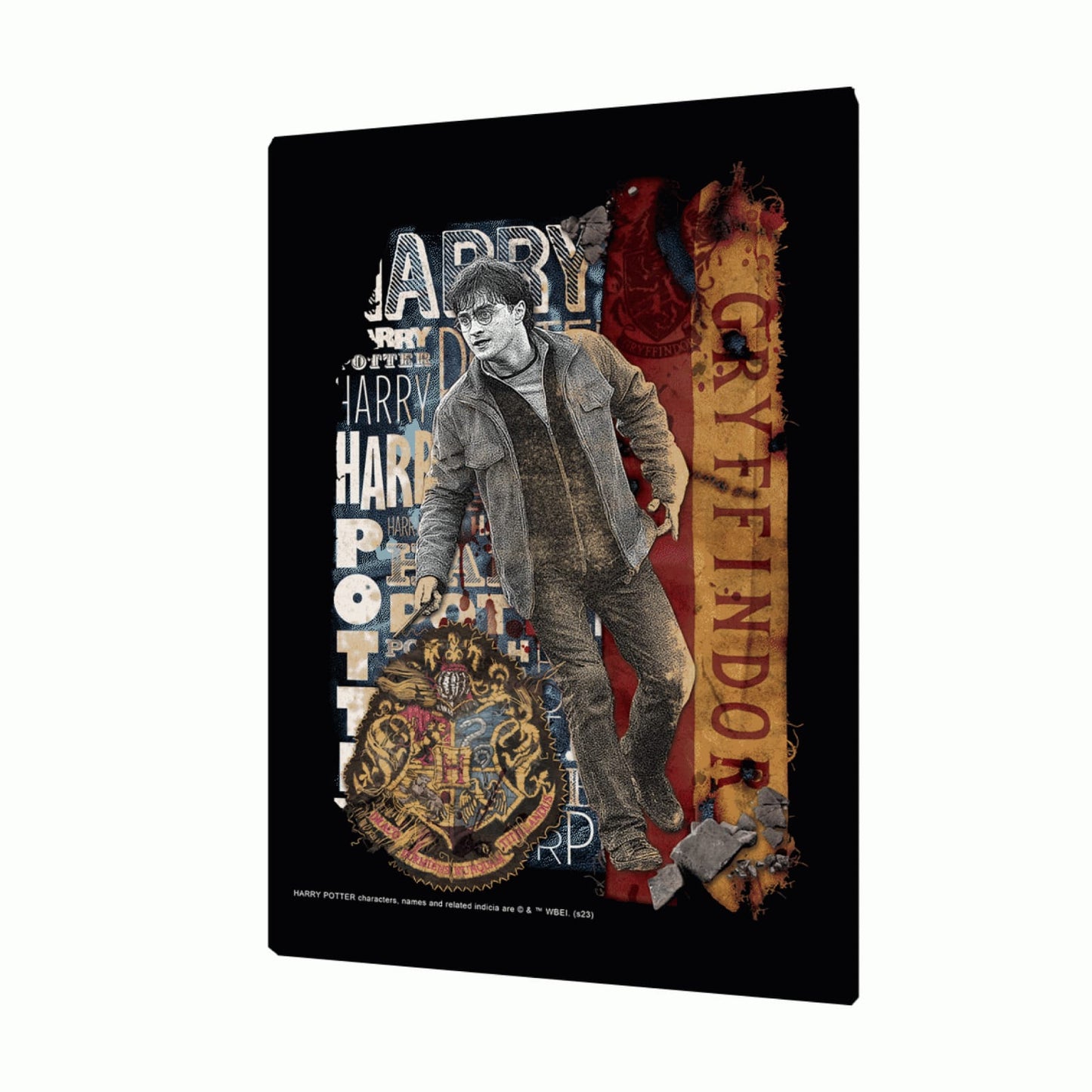 Harry Potter 3D Poster