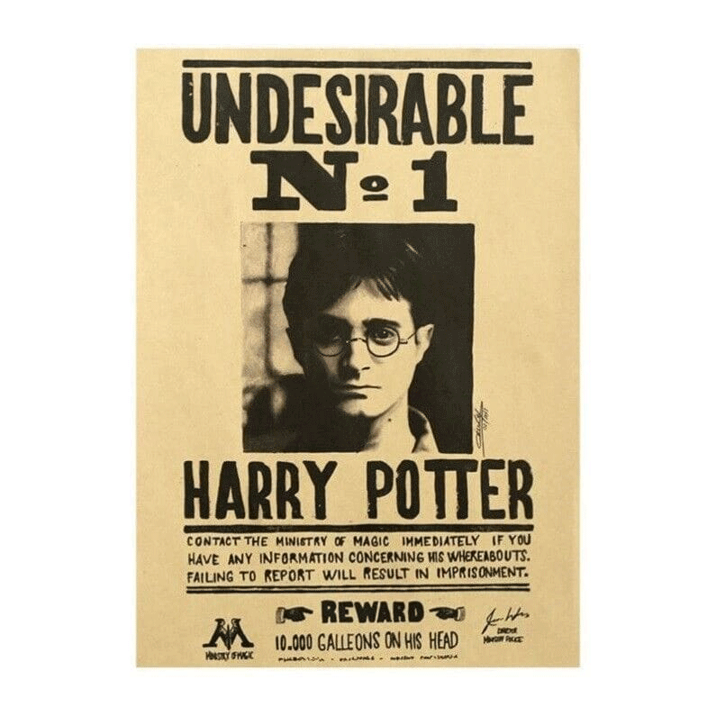 Harry Potter Wanted 3D Poster