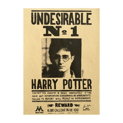 Harry Potter Wanted 3D Poster