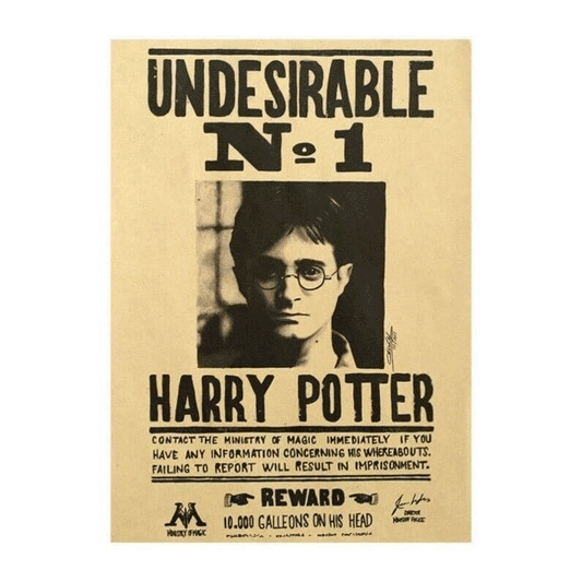 Harry Potter Wanted 3D Poster