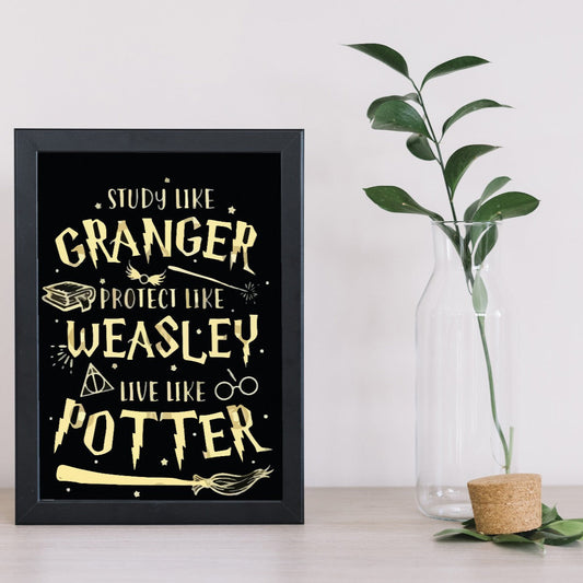 Harry Potter Iconic Trio A4 Frame (No COD Allowed)