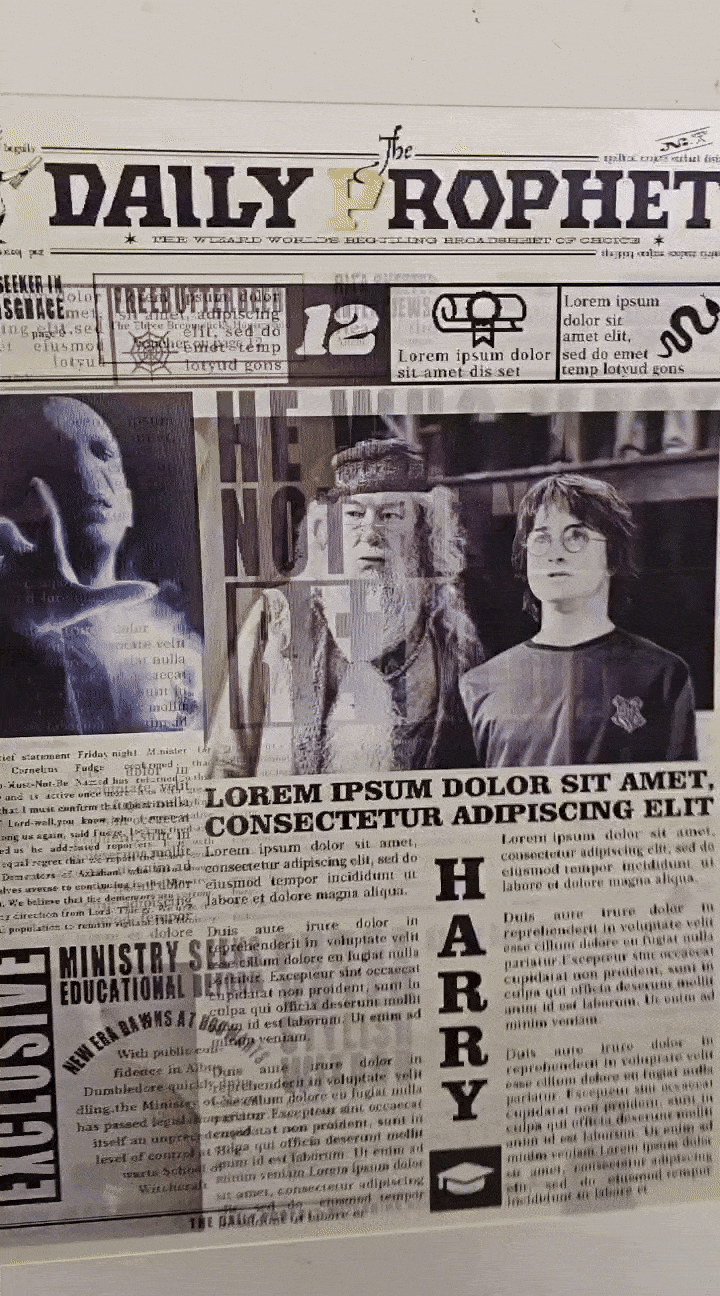 Harry Potter Daily Prophet 3D Poster