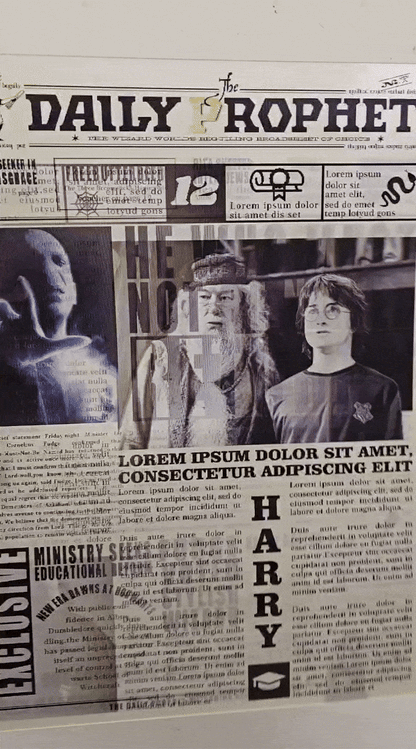 Harry Potter Daily Prophet 3D Poster