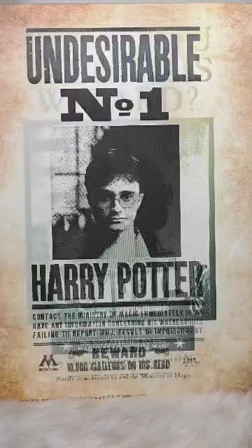 Harry Potter Wanted 3D Poster