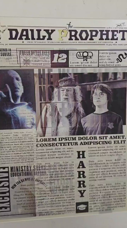 Harry Potter Daily Prophet 3D Poster