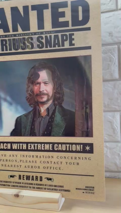 Harry Potter Wanted 3D Poster