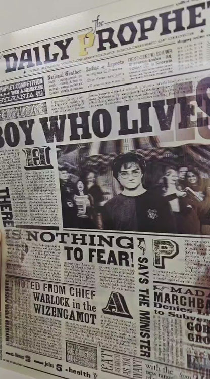 Harry Potter Daily Prophet 3D Poster